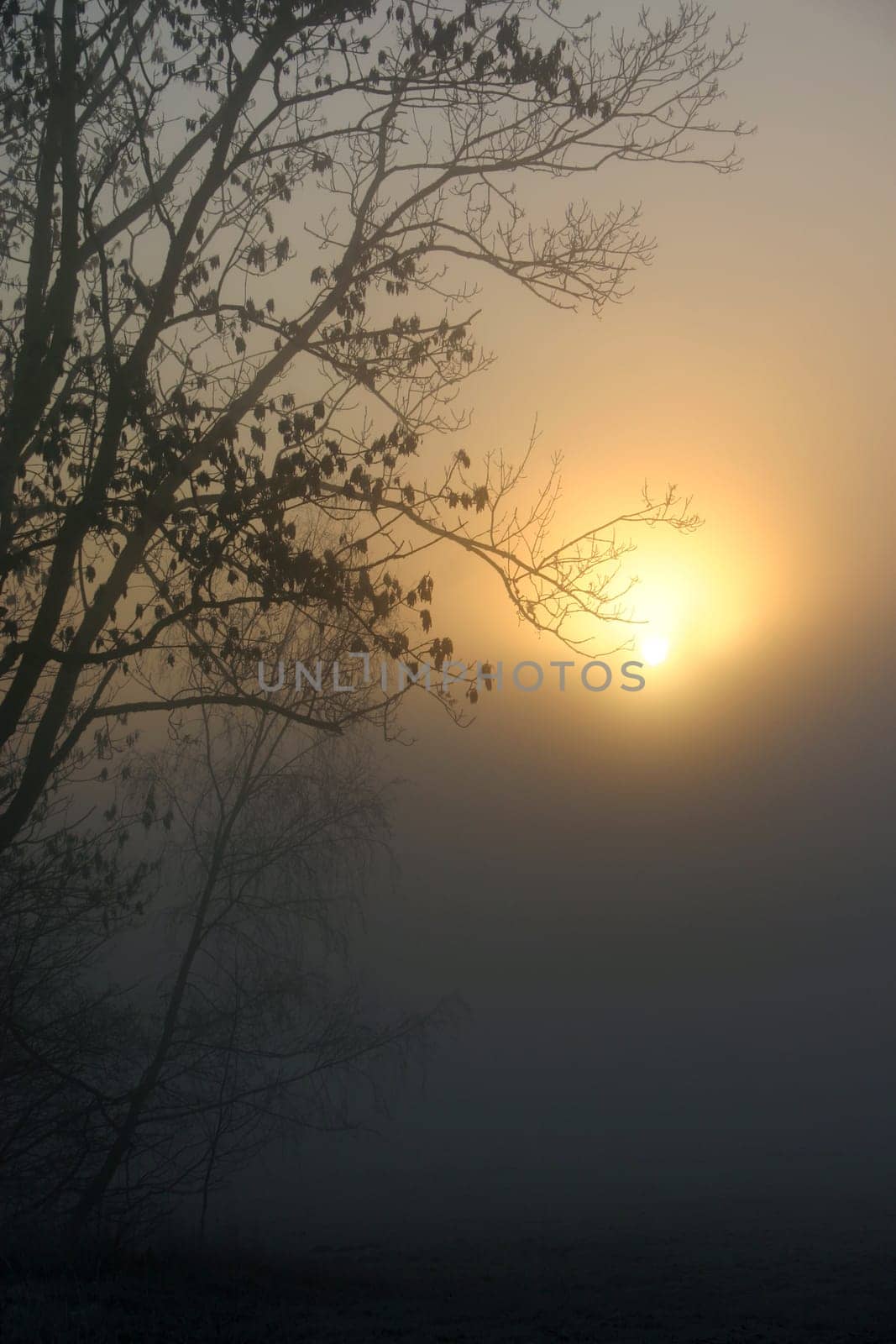 November sun