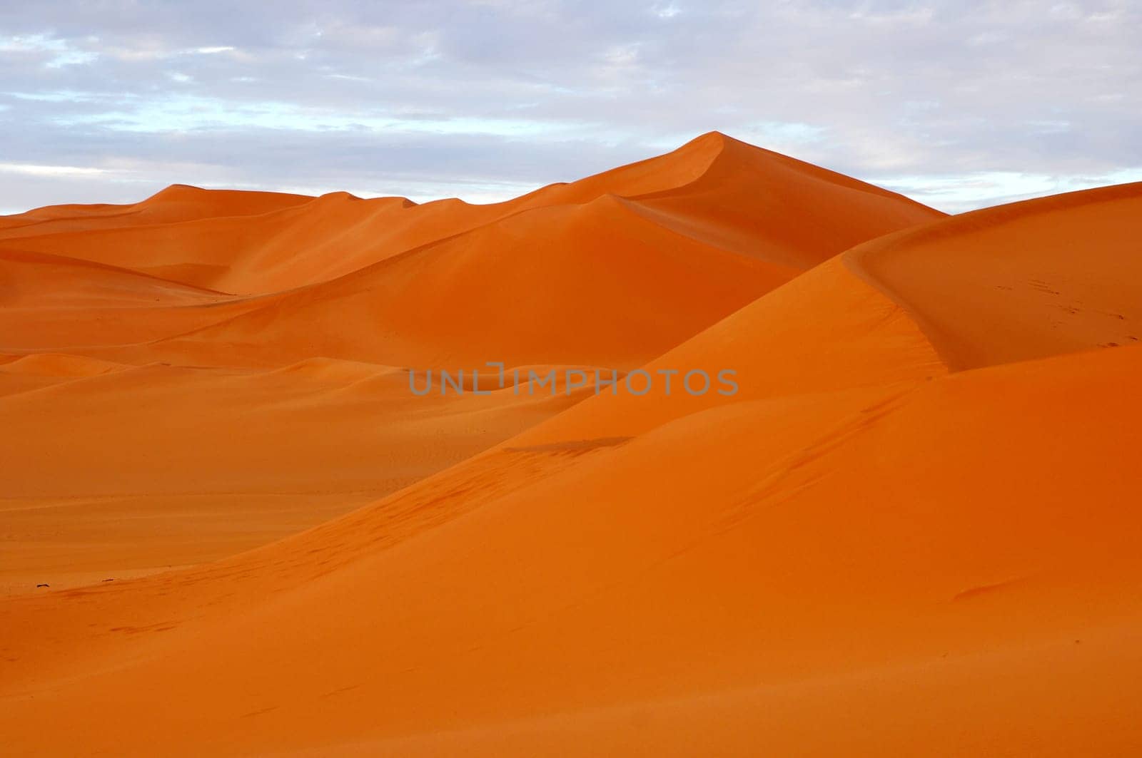Sand dunes in the Sahara in the evening light