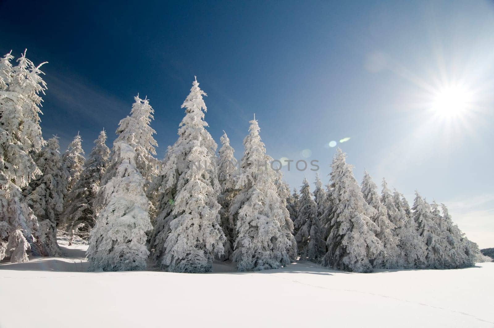 Winter200922