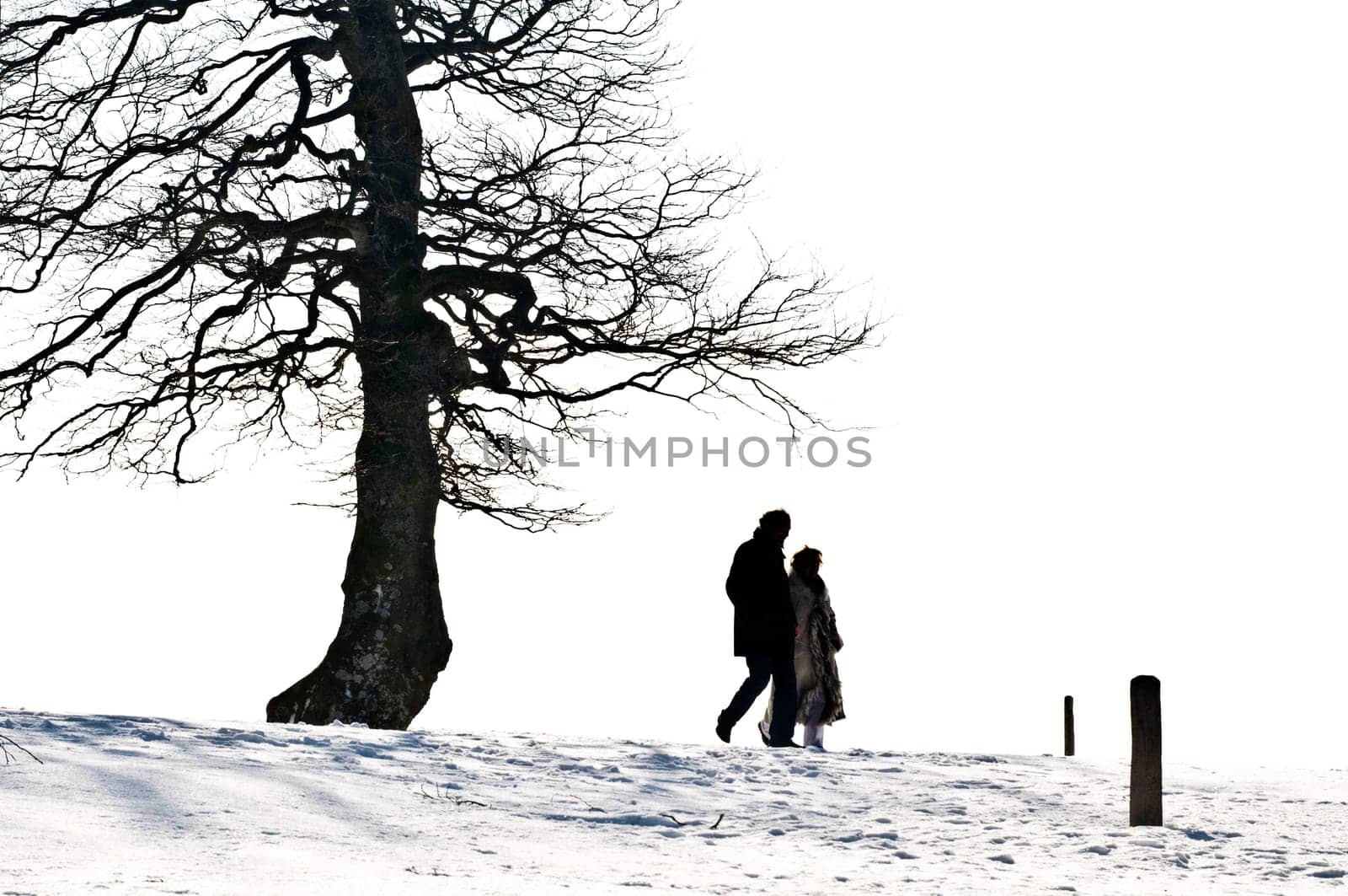 Winter200926