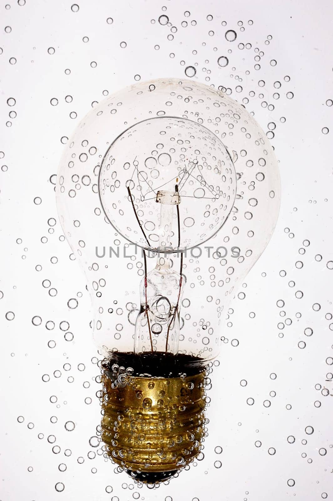 Bulb 2
