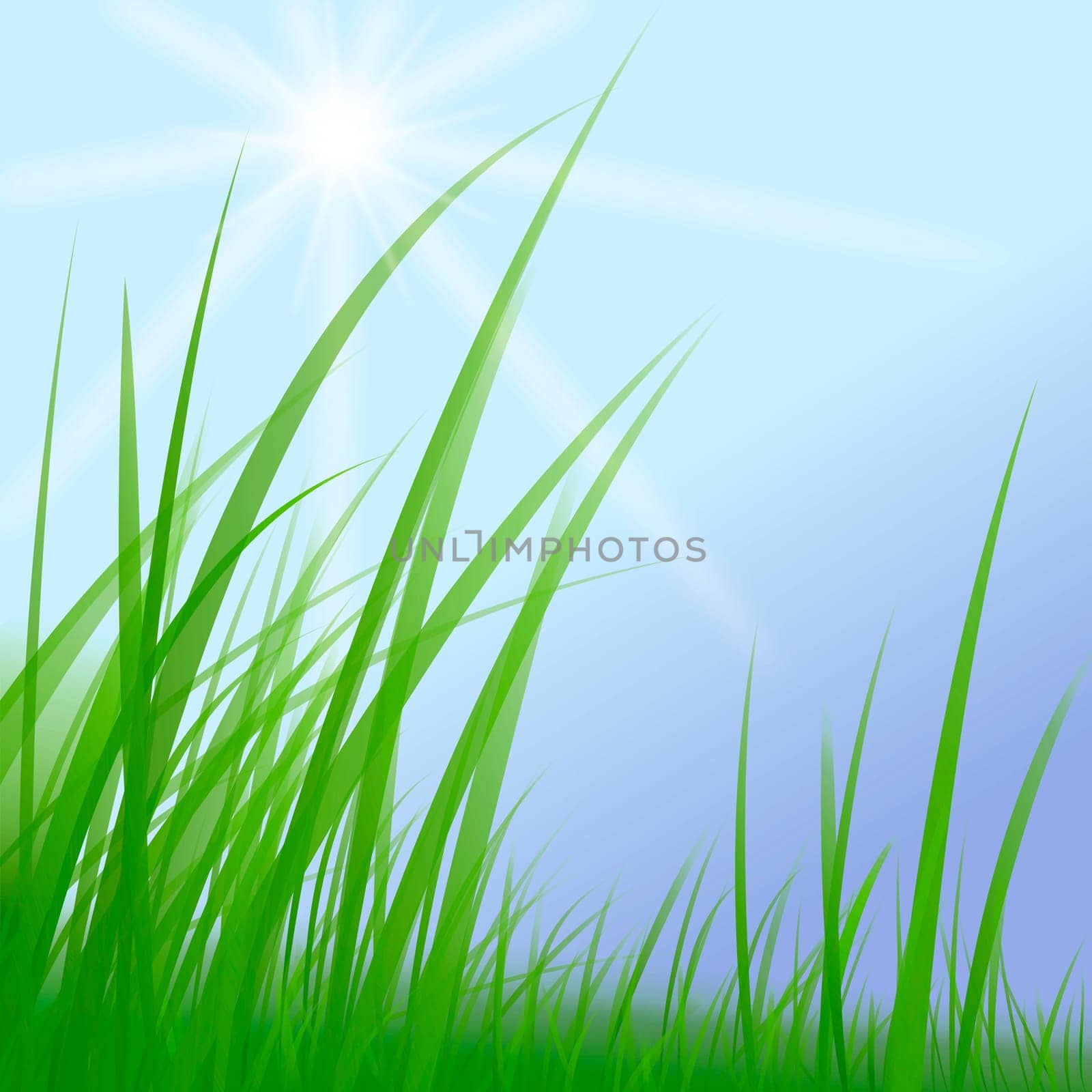 Grass-Meadow-Sky-Sun