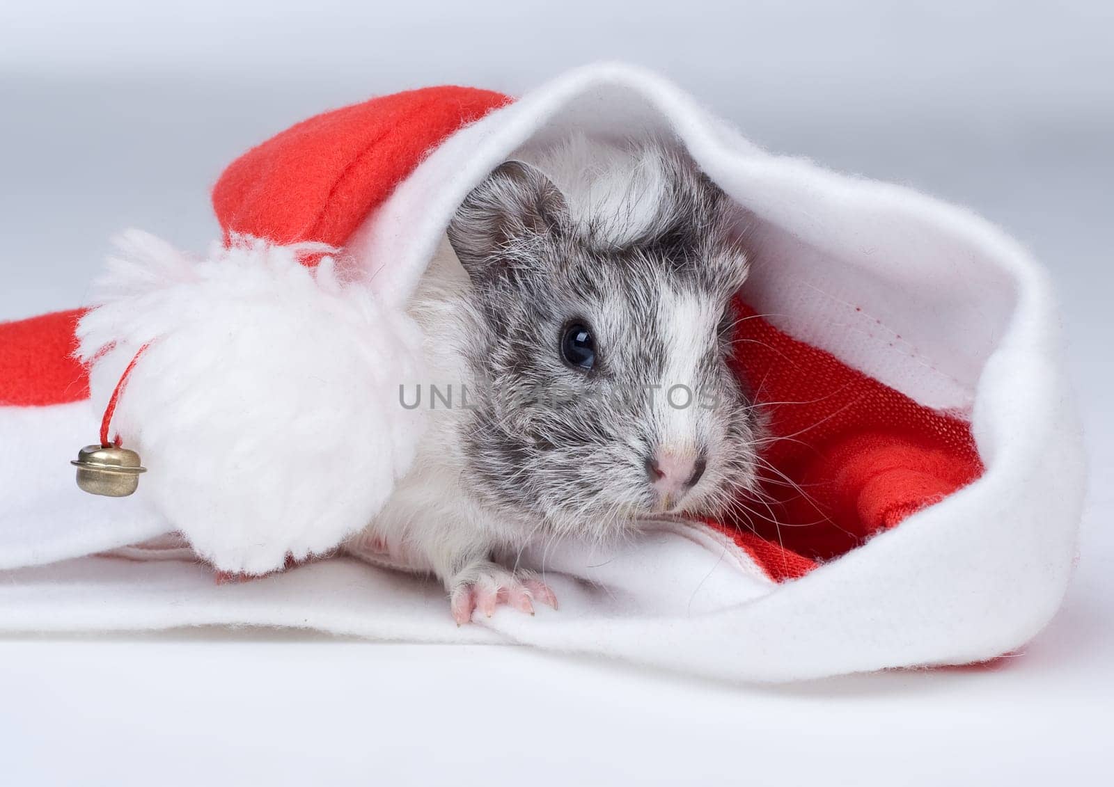 Christmassy