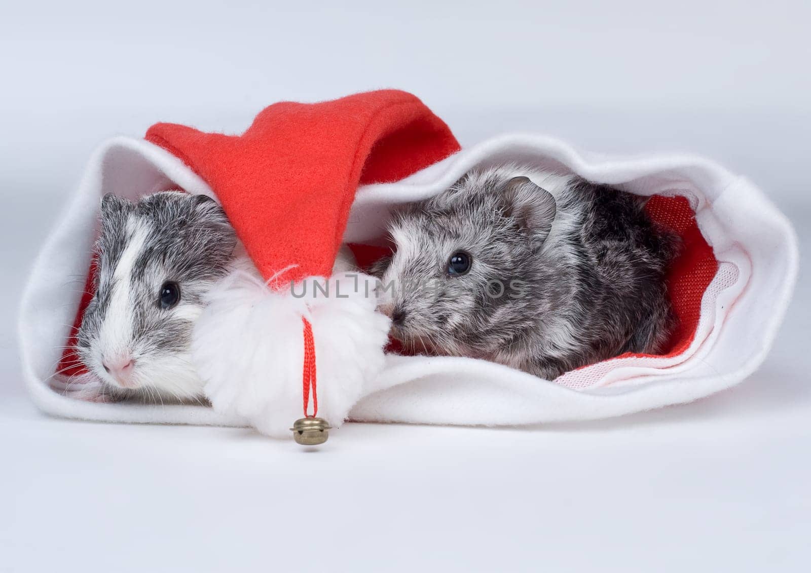 Christmassy