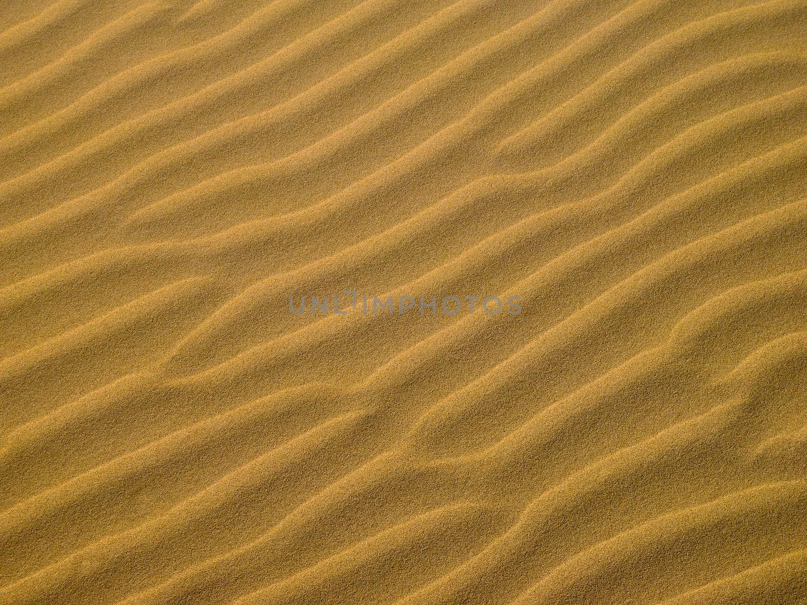 Beach Dunes 01