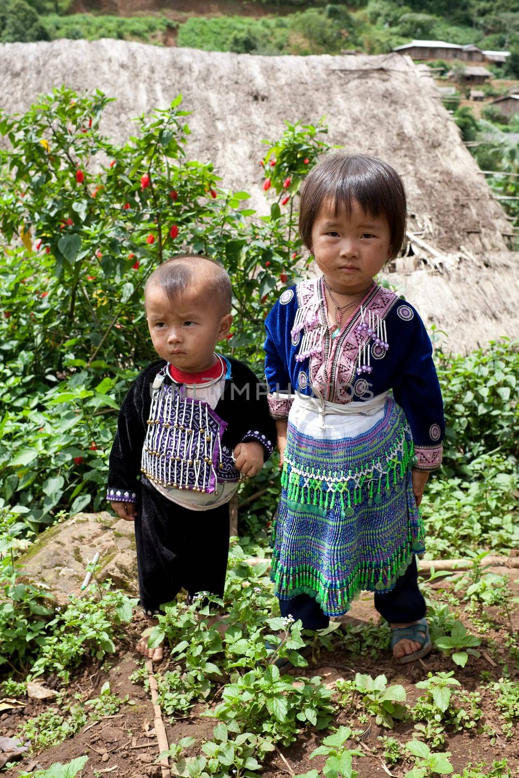 Children of Asia,Meo Ethnic Group,Hmong
