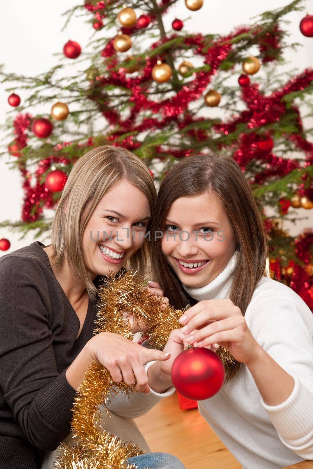 Two women with Christmas decoration