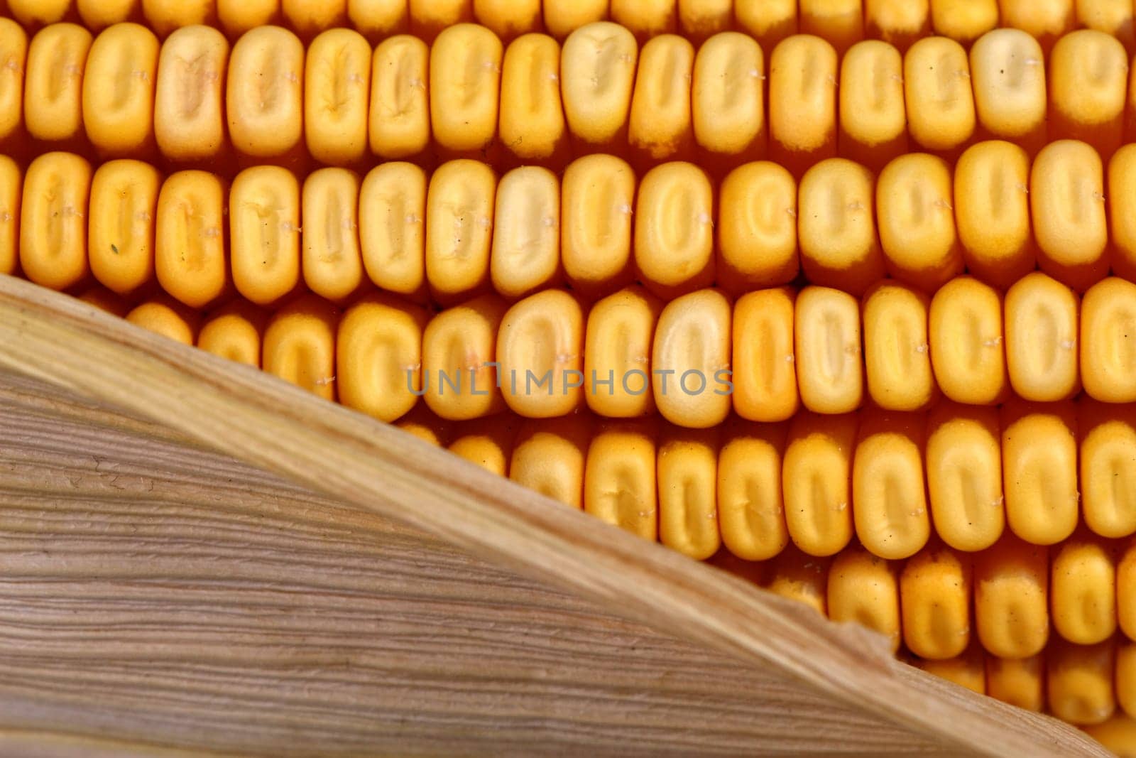 corncob detail