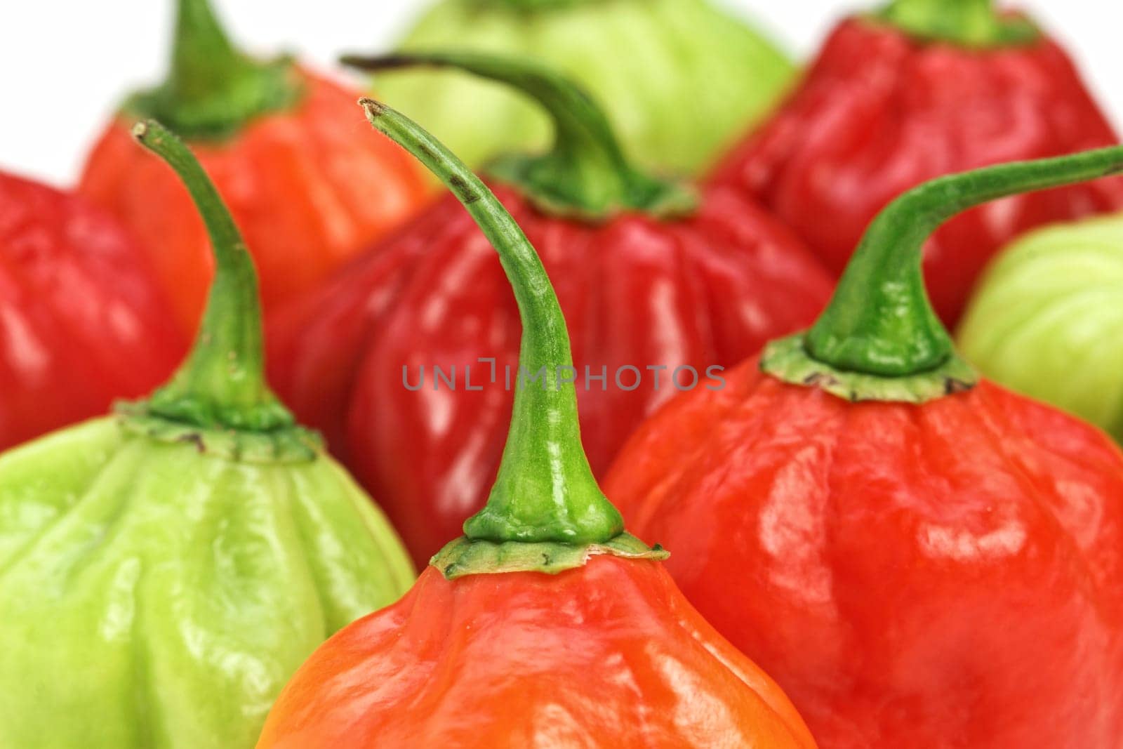 chilly pepper background