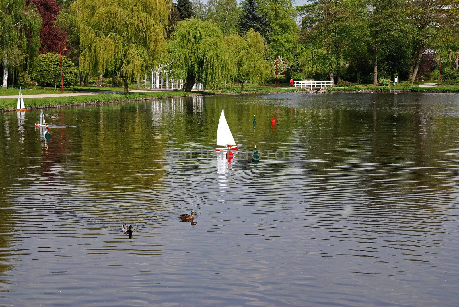 Model boat