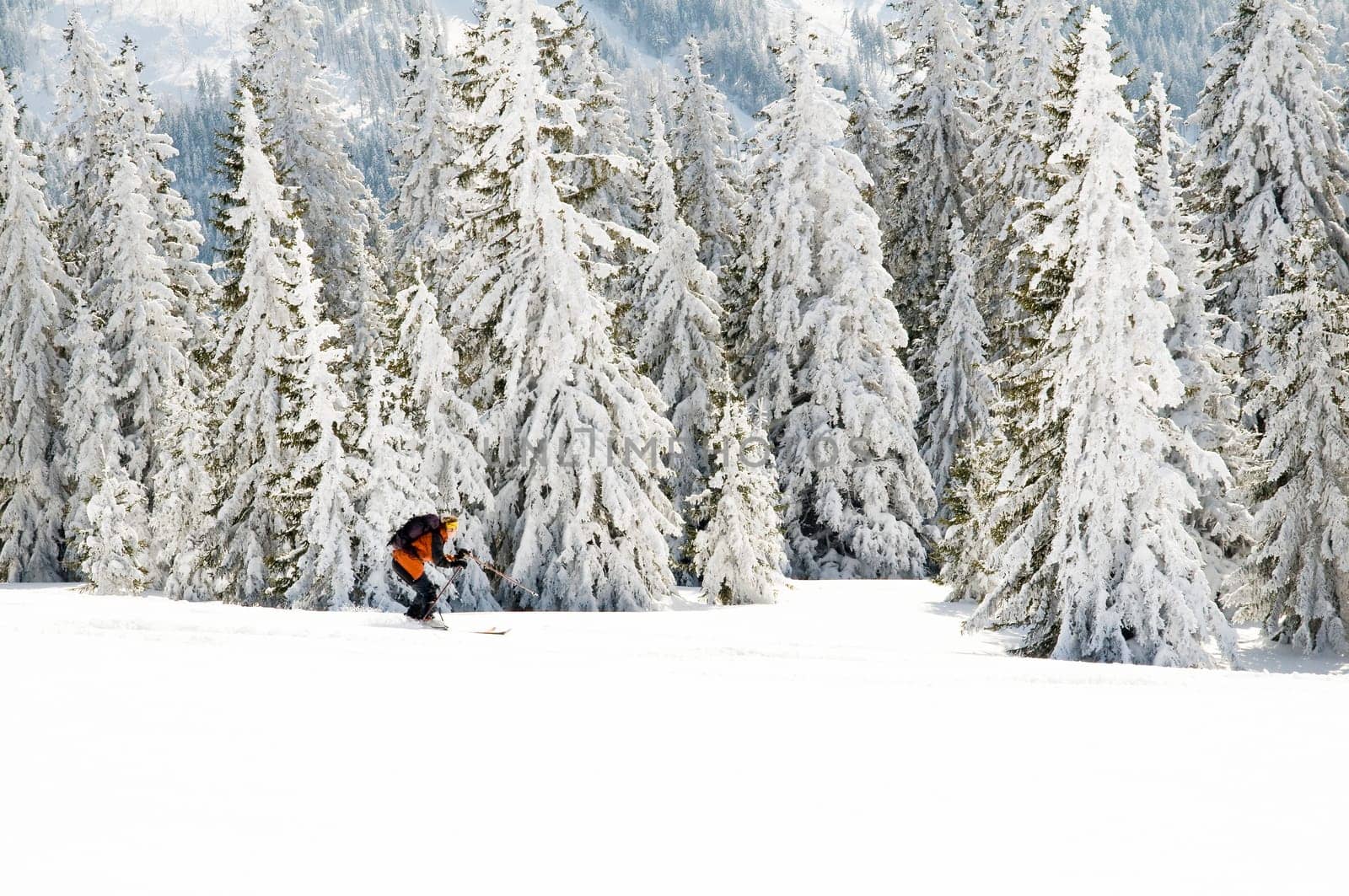 Winter Sports14