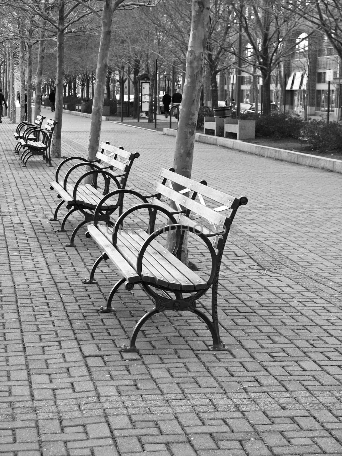 Empty benches in a park