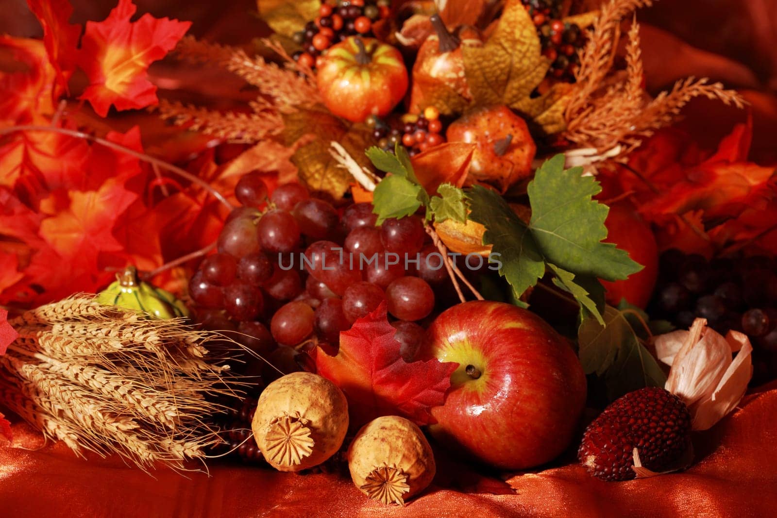 Thanksgiving
