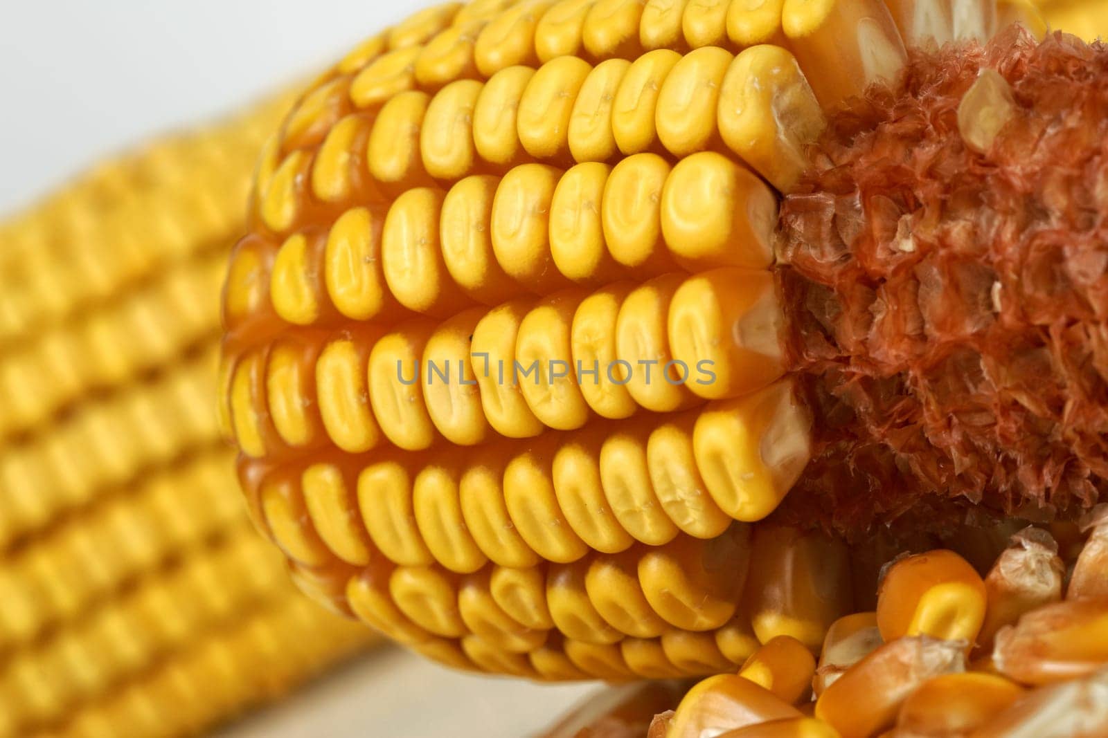 corncob detail