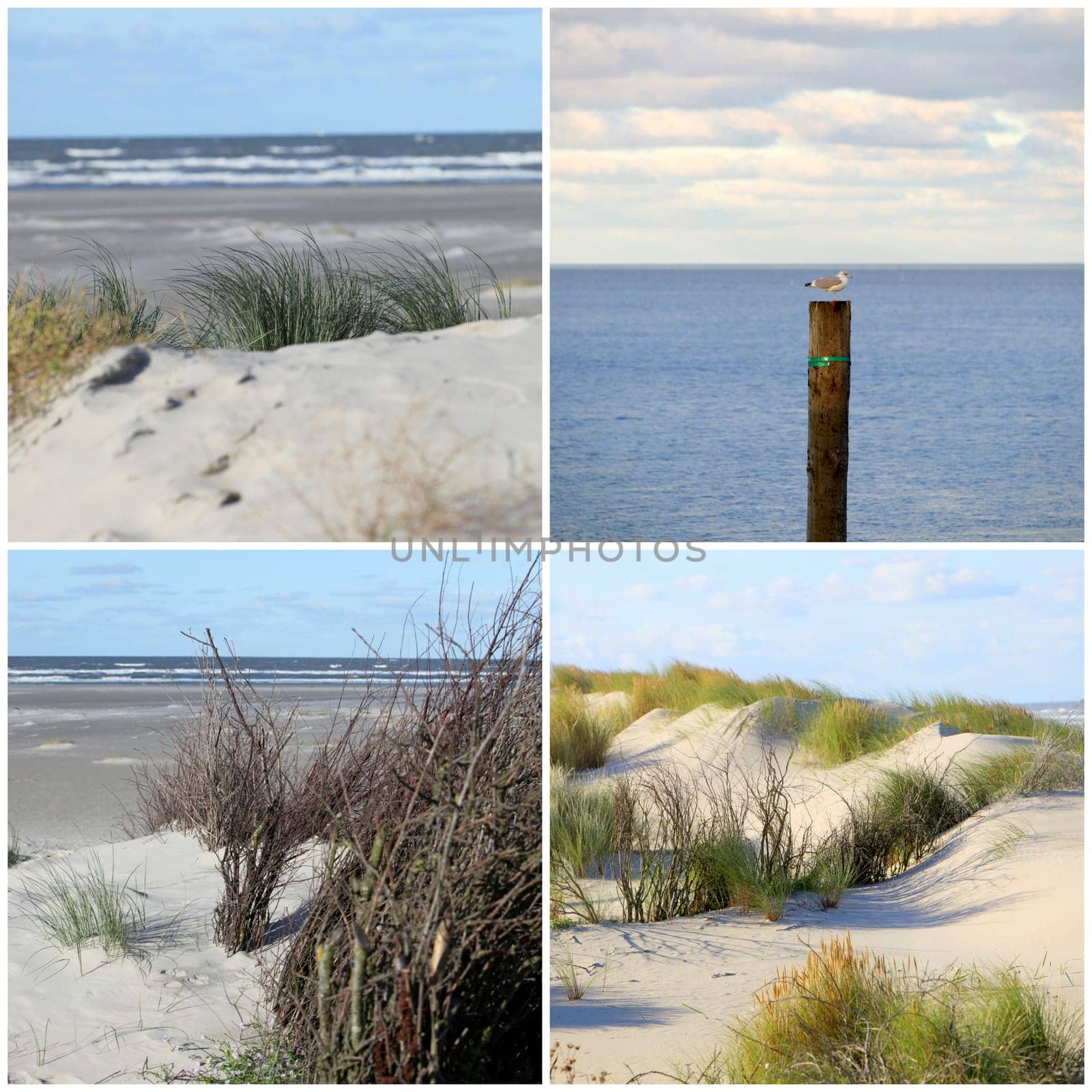 Collage with four photos of the beach,sea and dunes