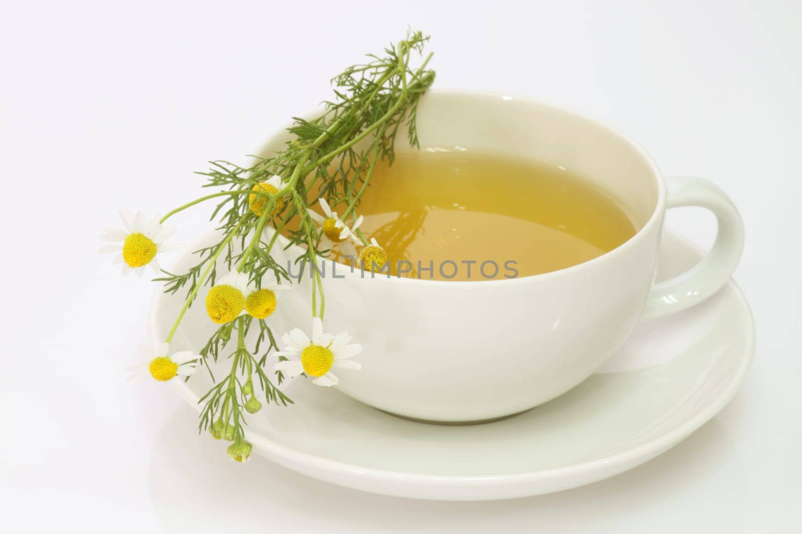 Camomile tea
