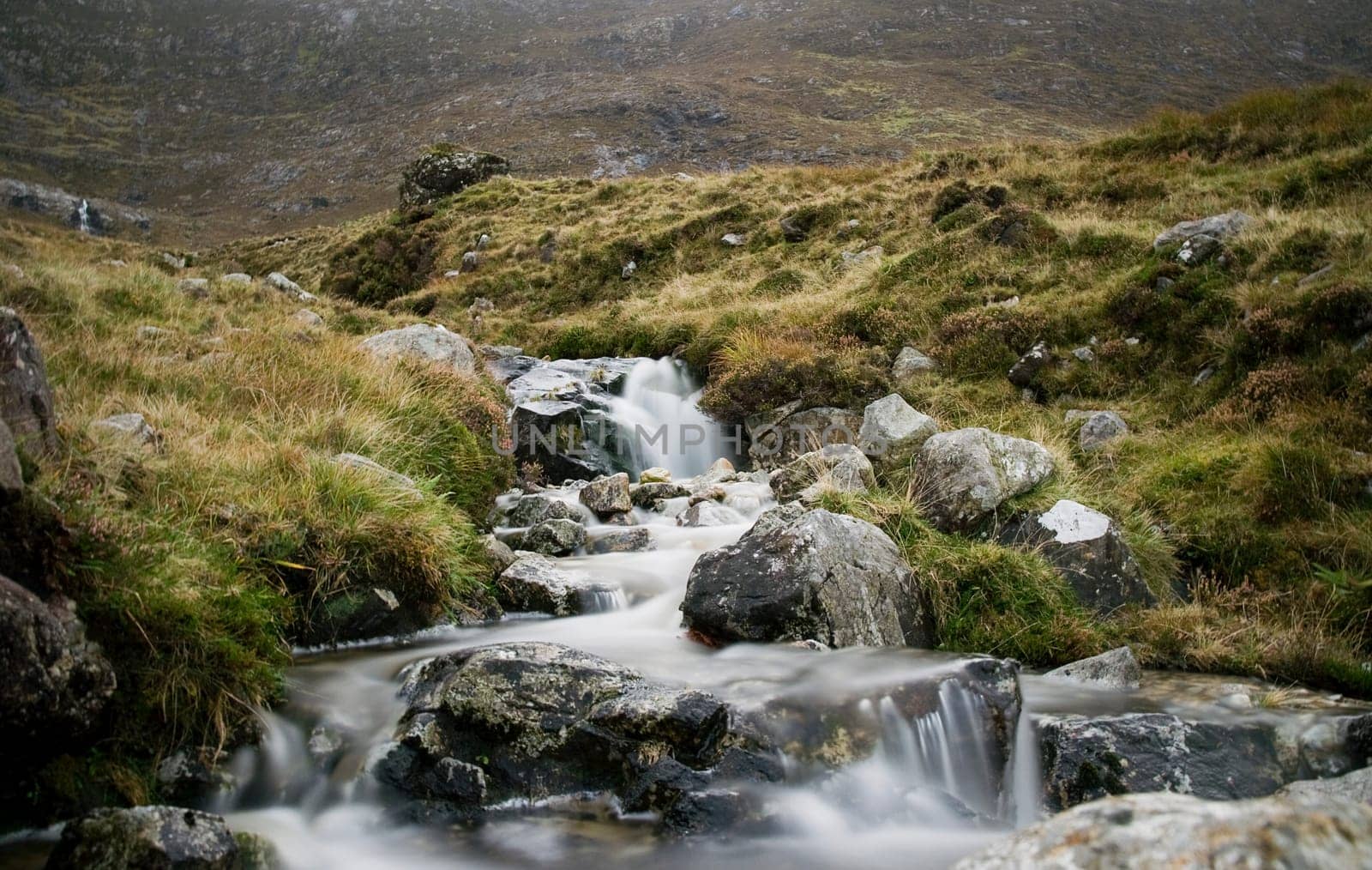 Irish nature