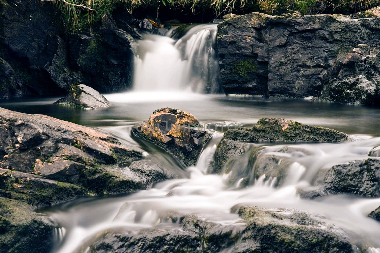 Irish nature