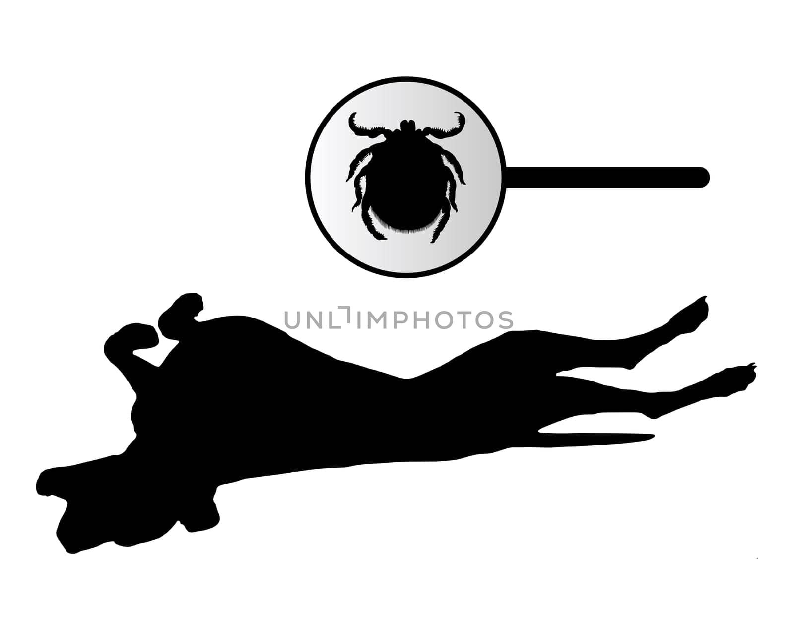 Dog chafes because of ticks