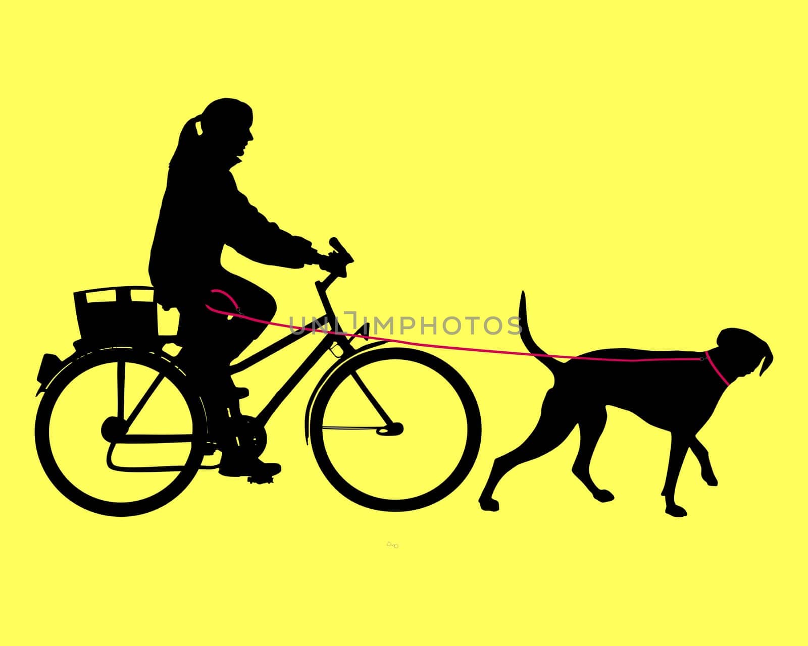 Cyclist with dog on leash