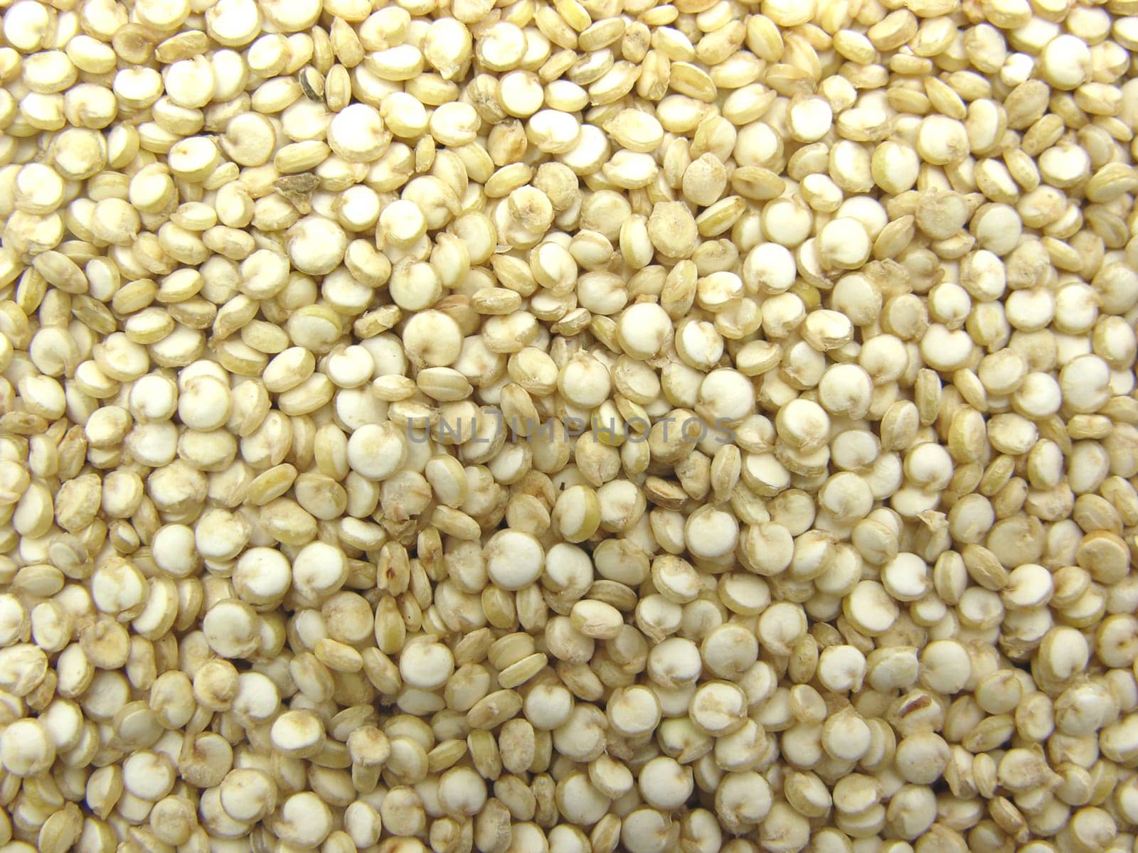 Quinoa as a wallpaper