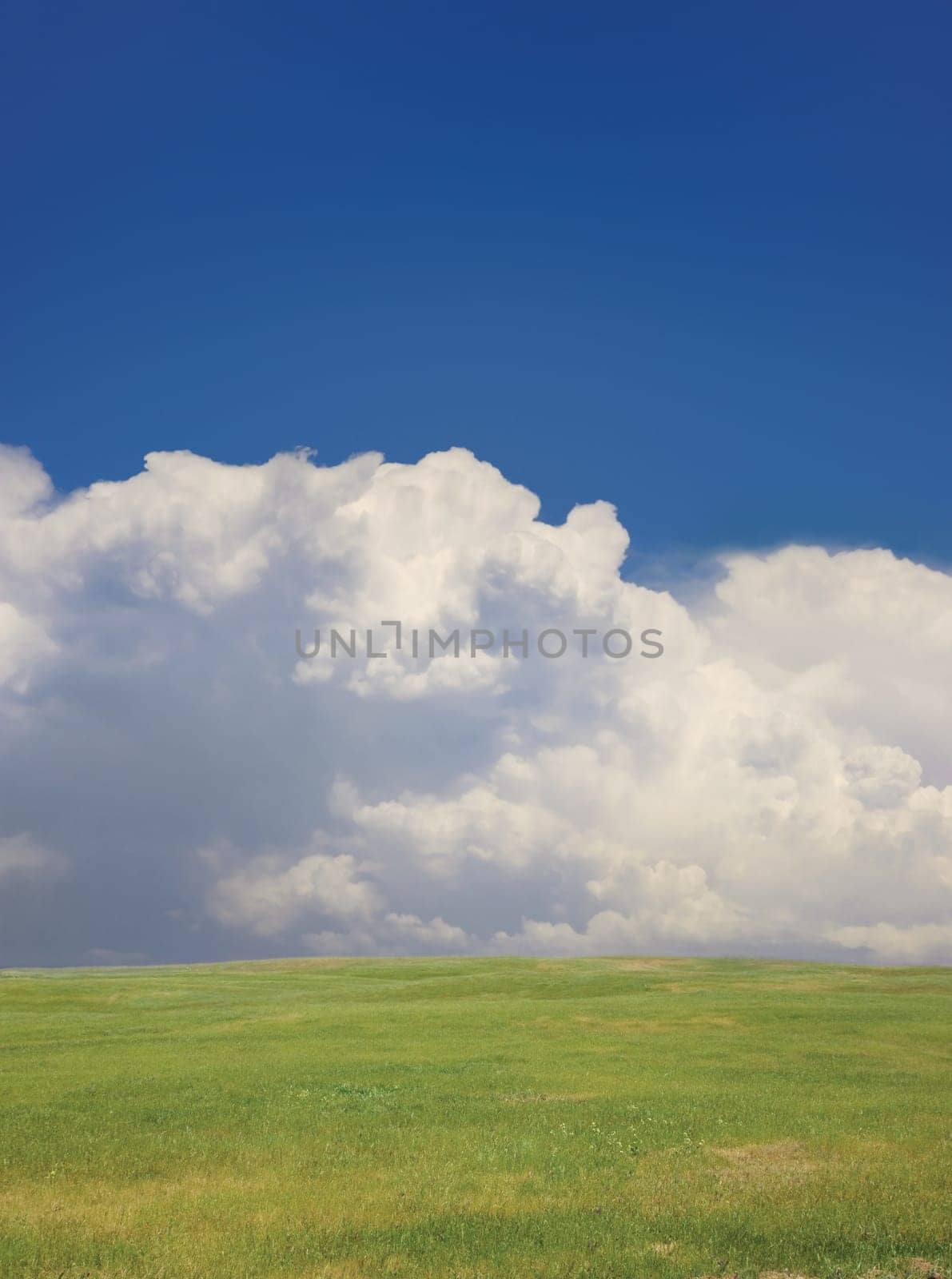 Field and Sky
