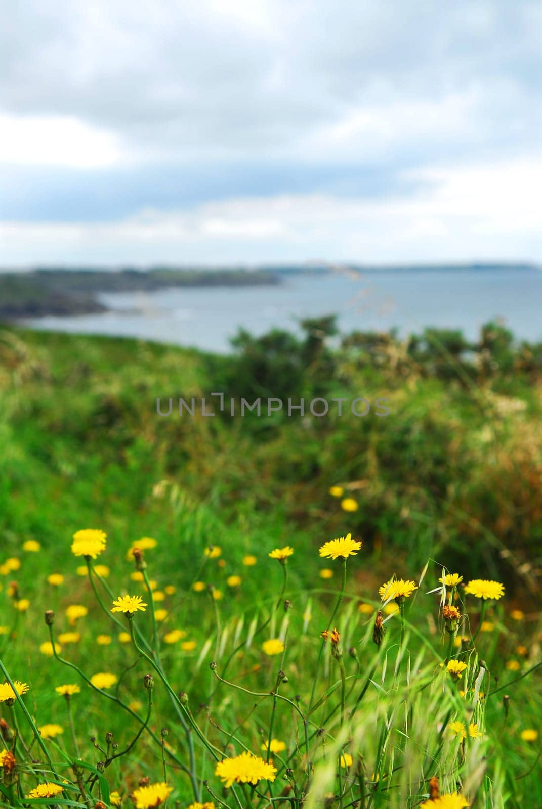 Atlantic coastline in Brittany, France