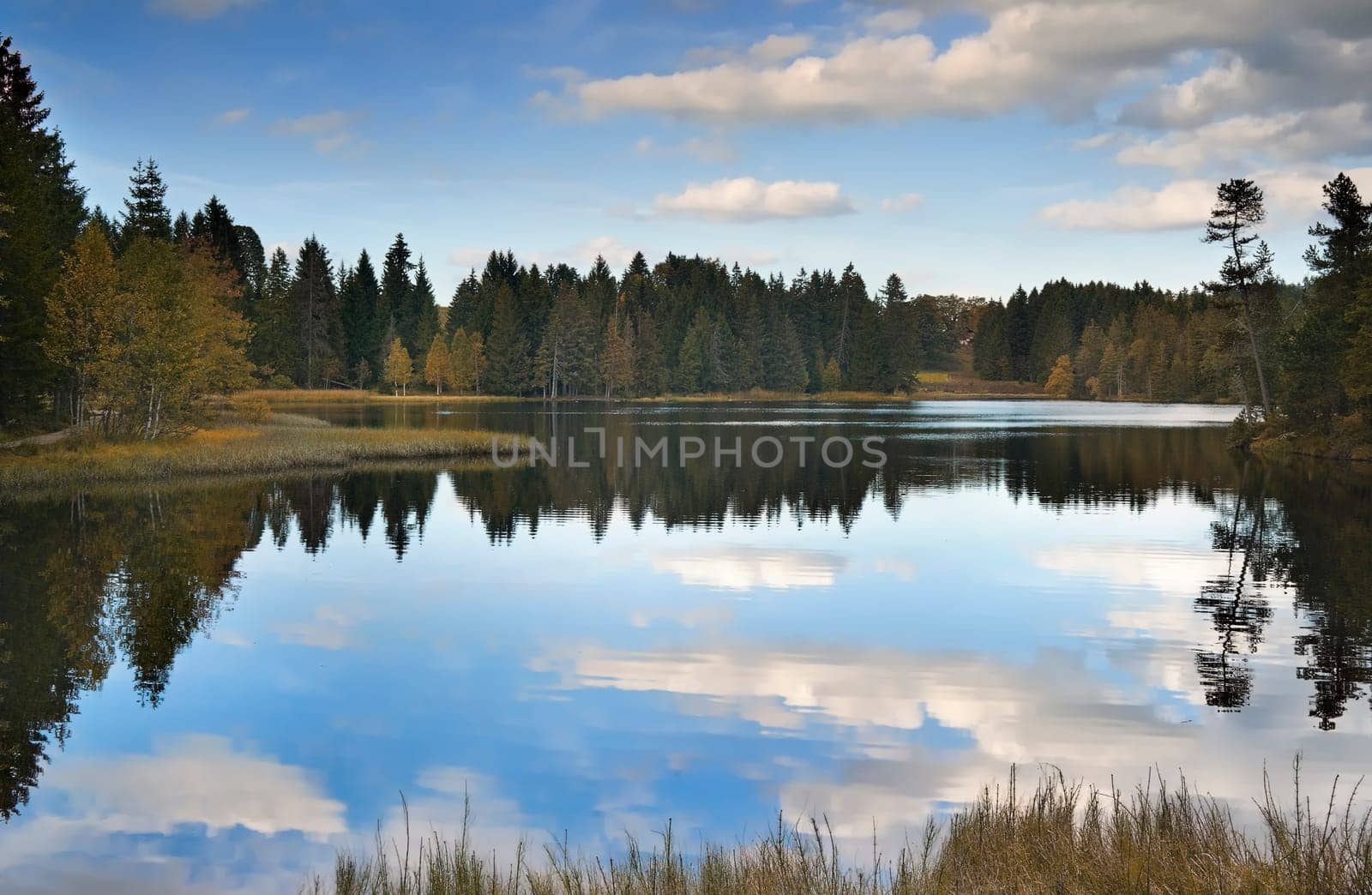 the silent paradise