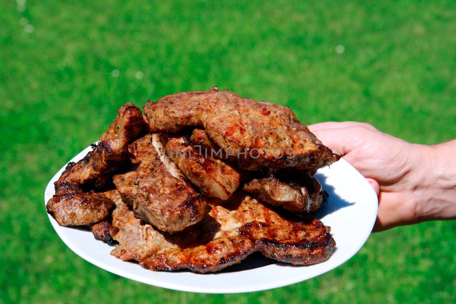 grilled pig meat on plate