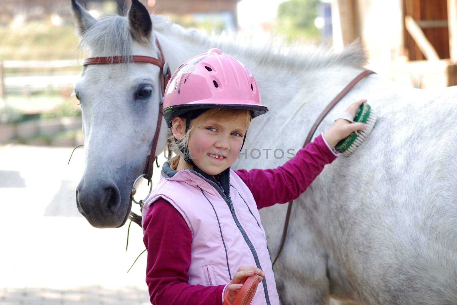 Horse Care