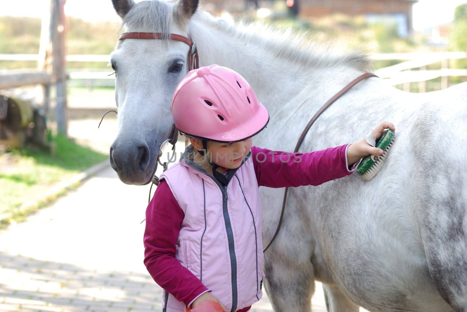 Horse Care