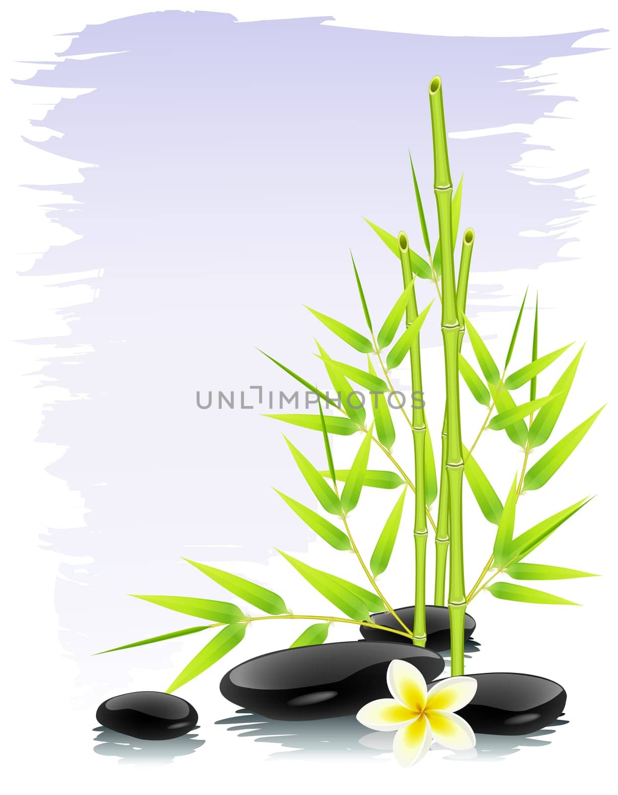 Zen composition