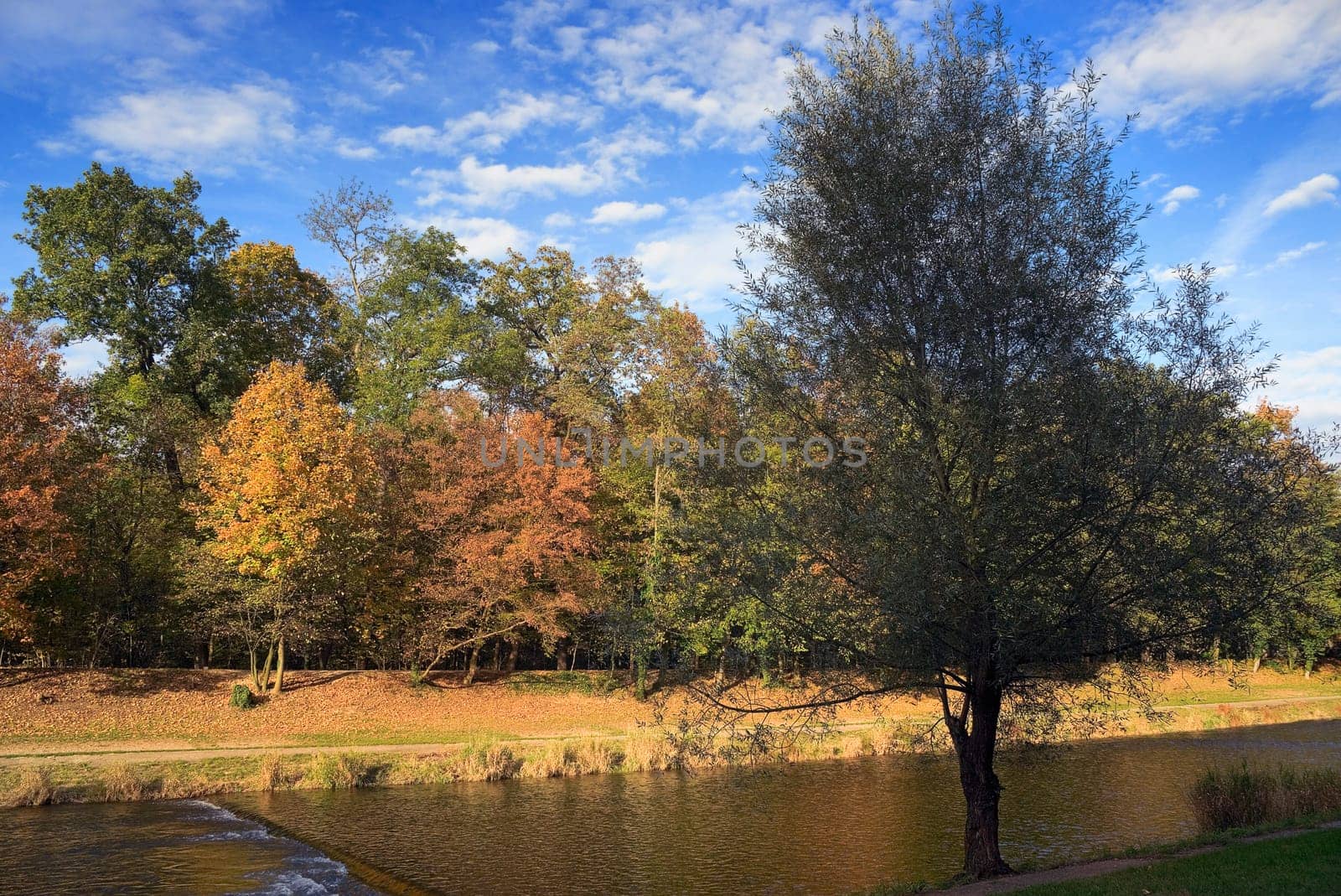 Autumn in the Wiesental
