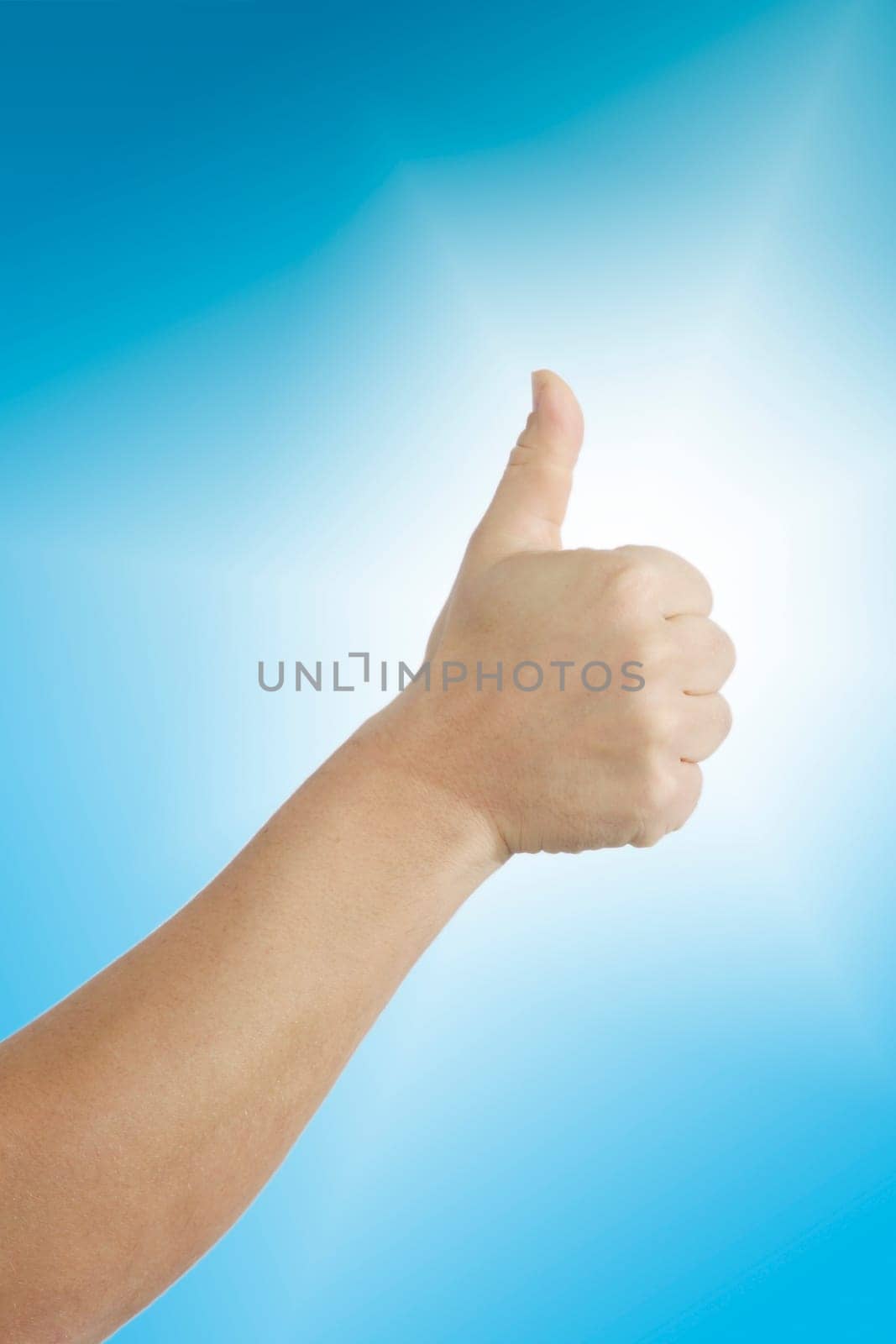 thumbs up wd211