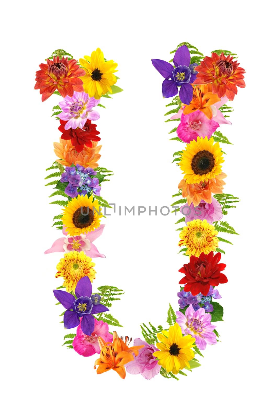 U