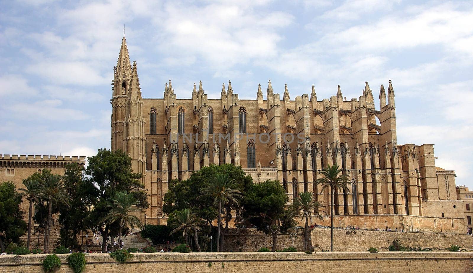 La Seu Cathedral in Palma,Mallorca