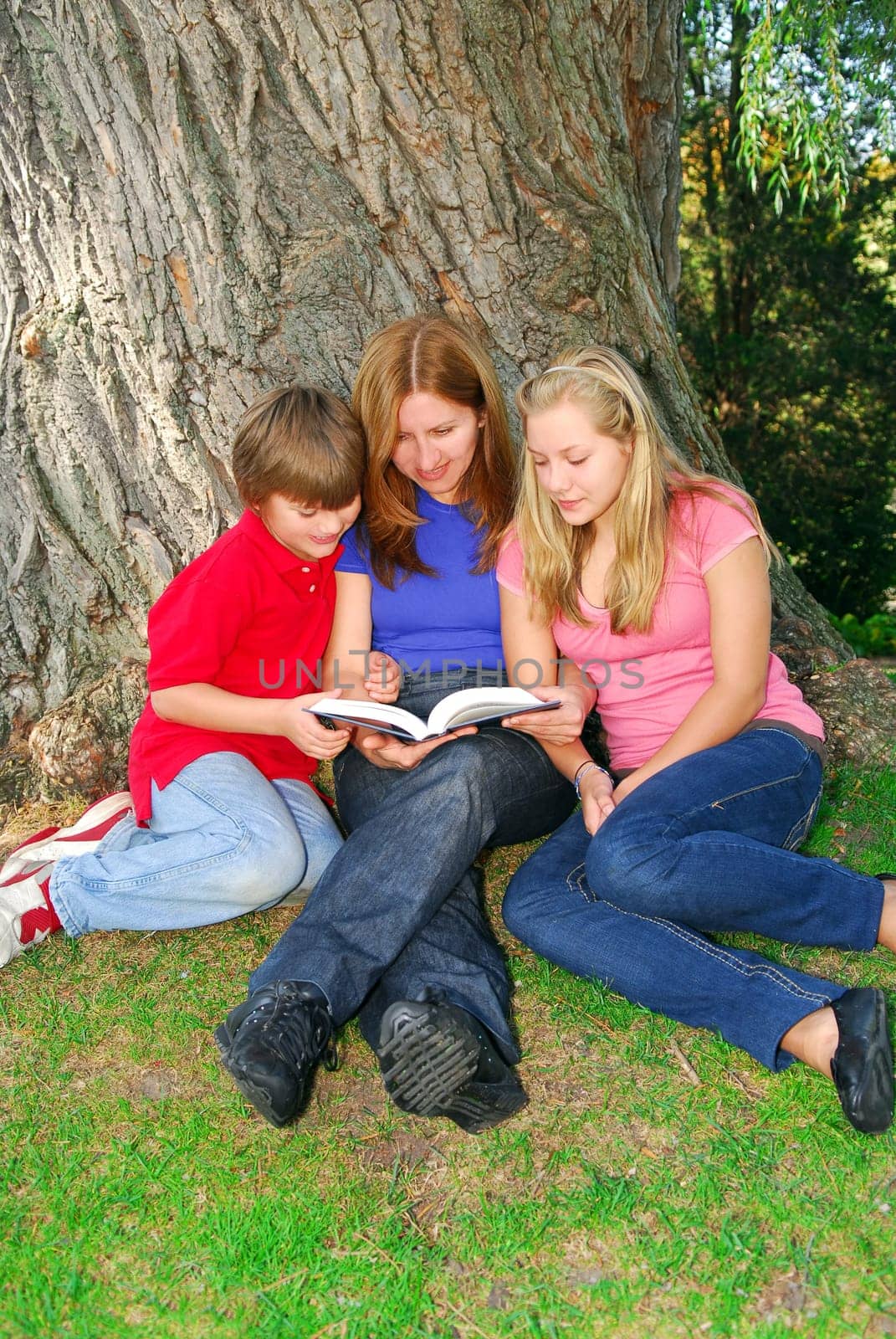 Family reading a book