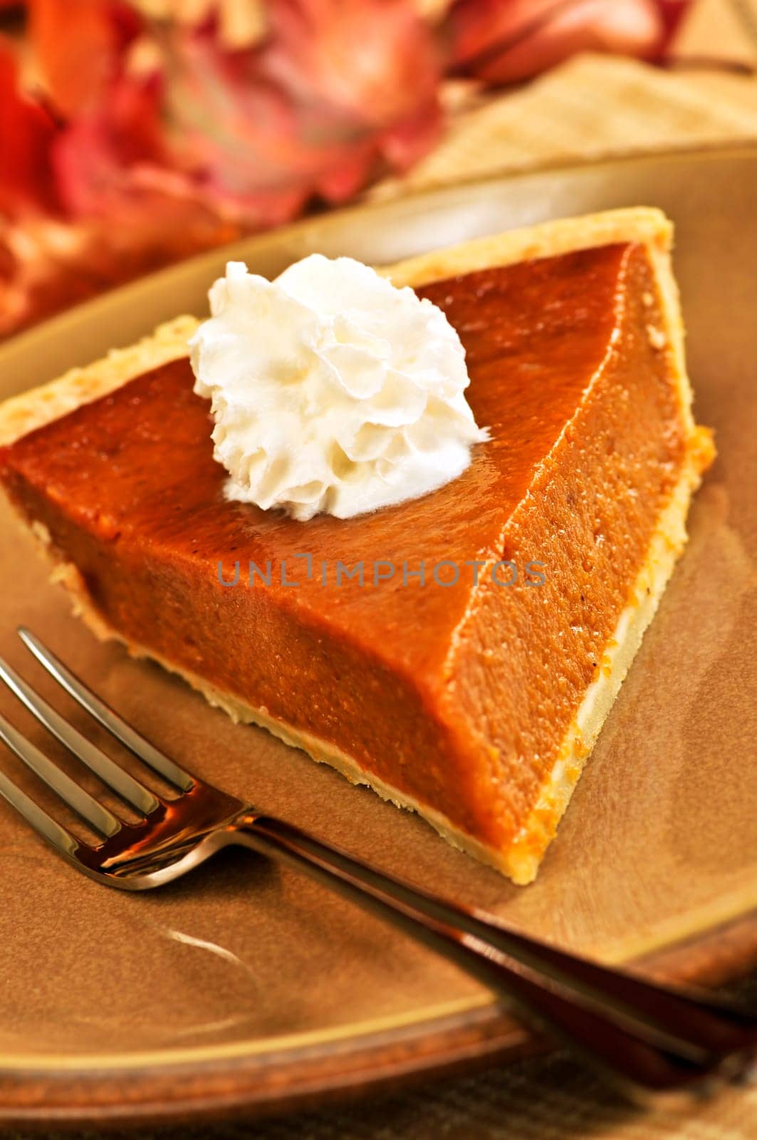 Pumpkin pie