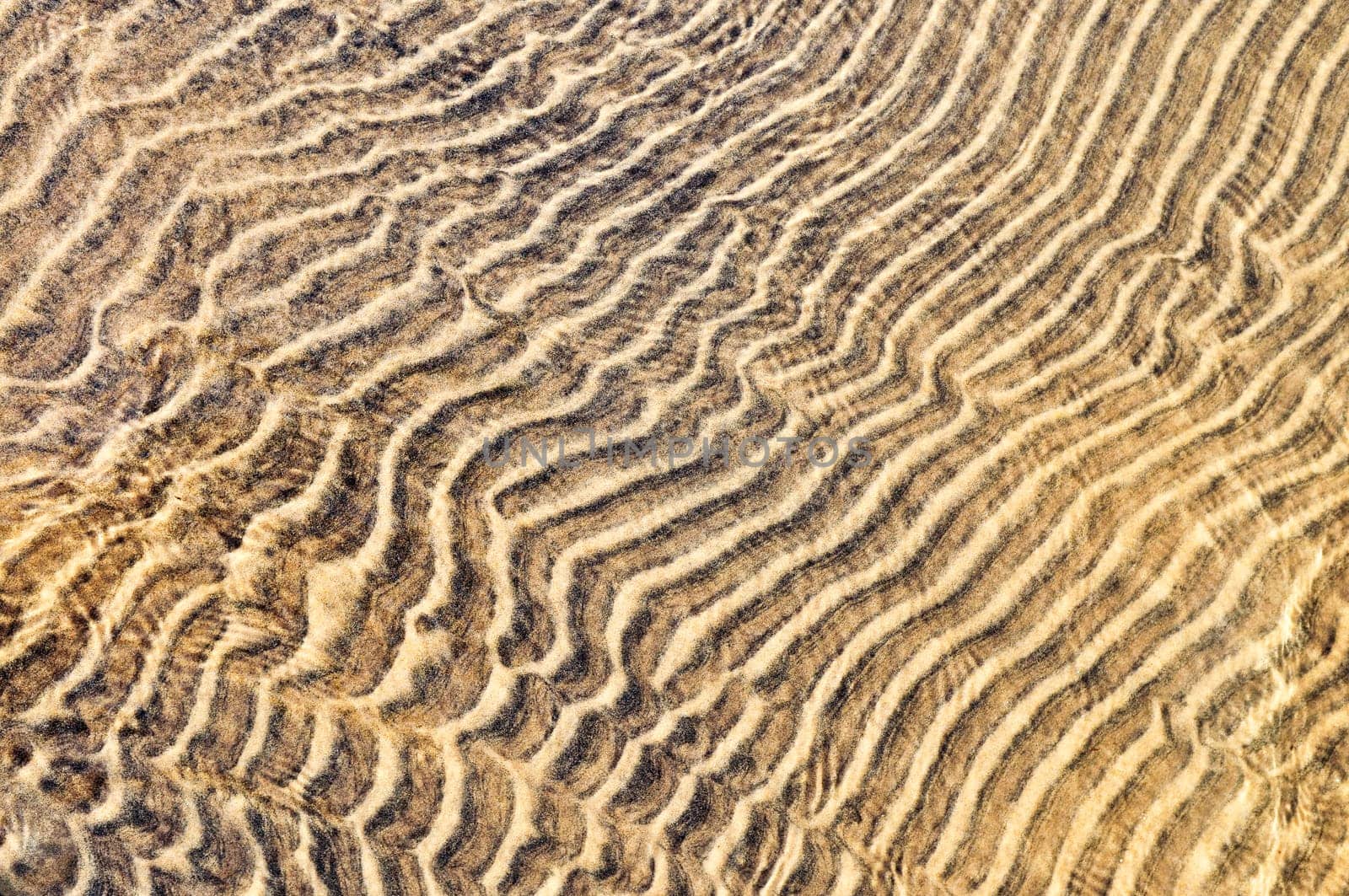 Sand ripples in shallow water