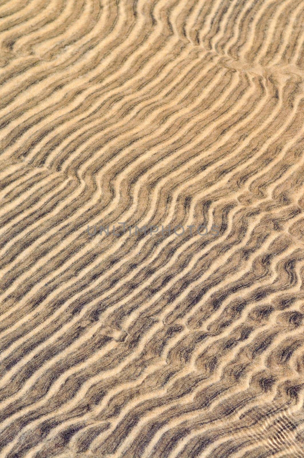 Sand ripples in shallow water