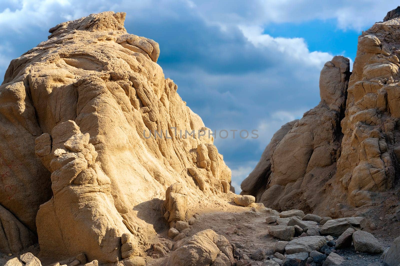 In Ras Abu Galum National Park