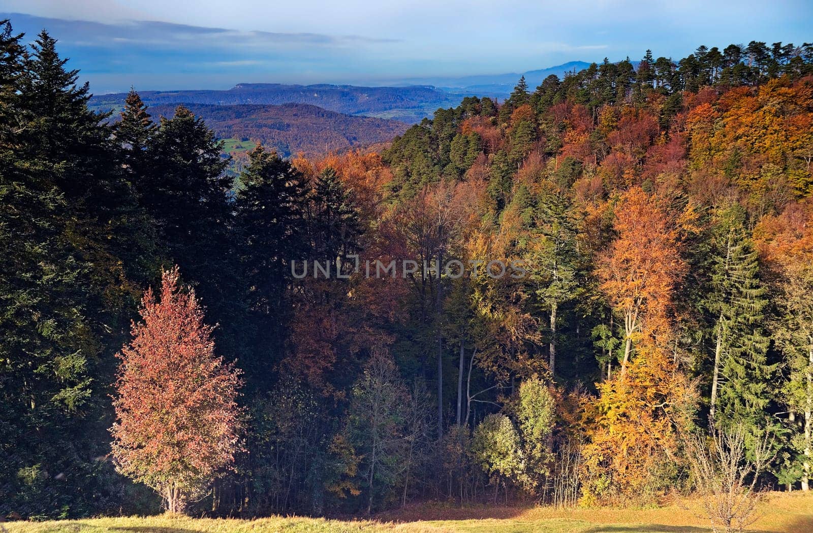 Autumn in the Basel region