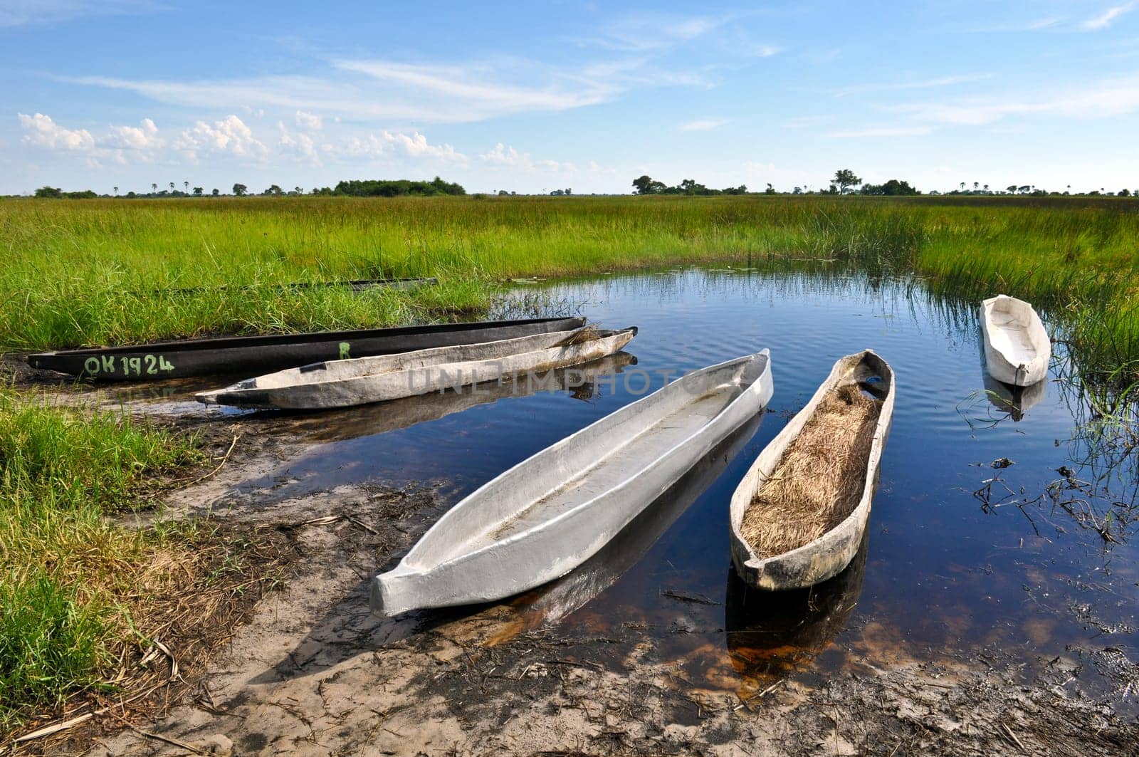 Boats in the Okavango Delta