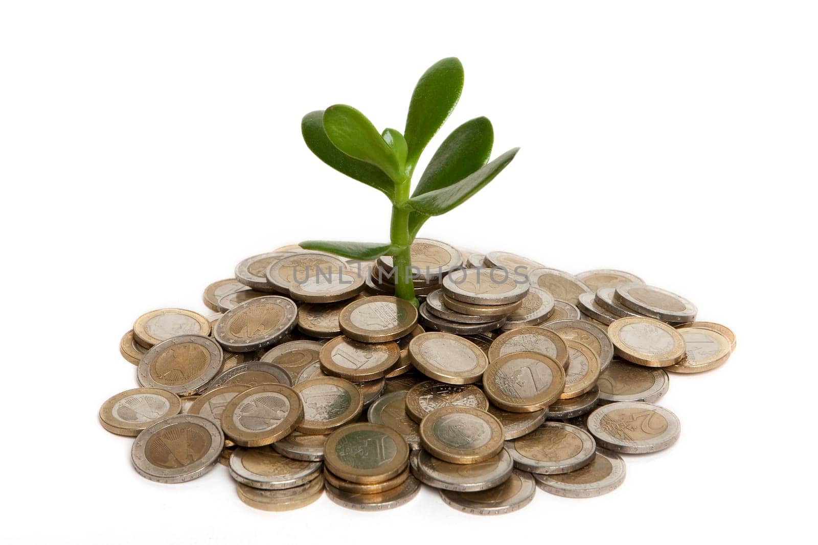 Coins with plant,concept money