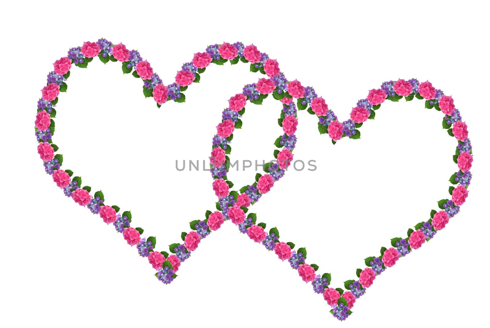 Two Flower Hearts