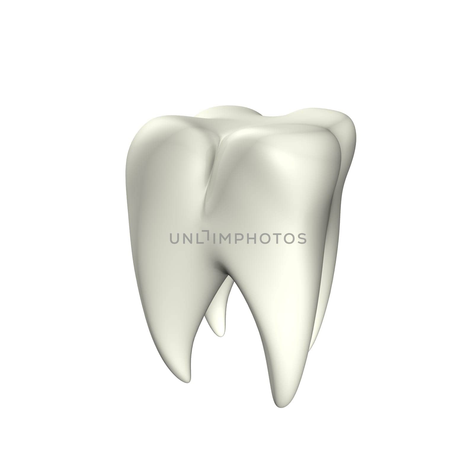 Tooth 3D