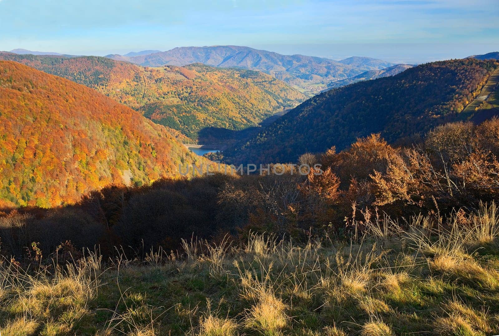 Autumn light over the Vosges