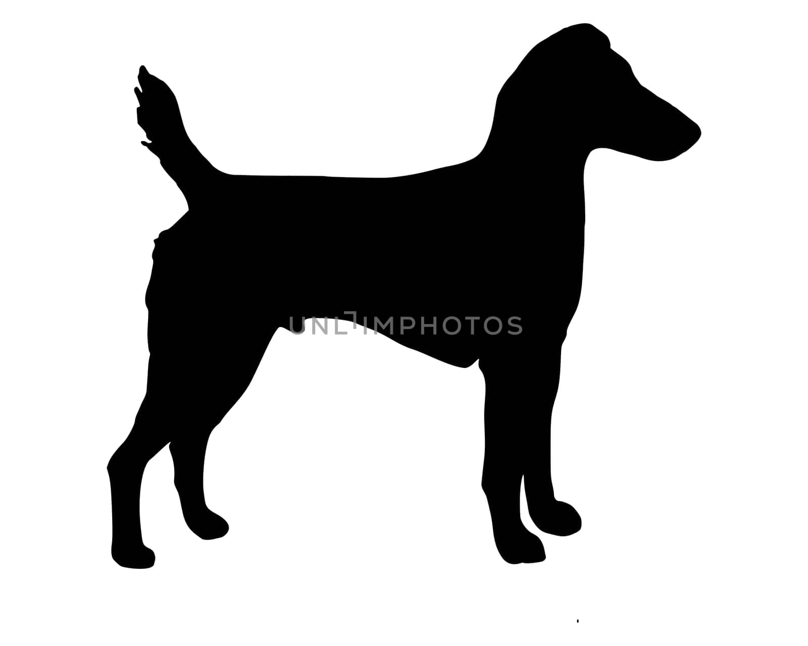Black silhouette of a Westphalian Terrier