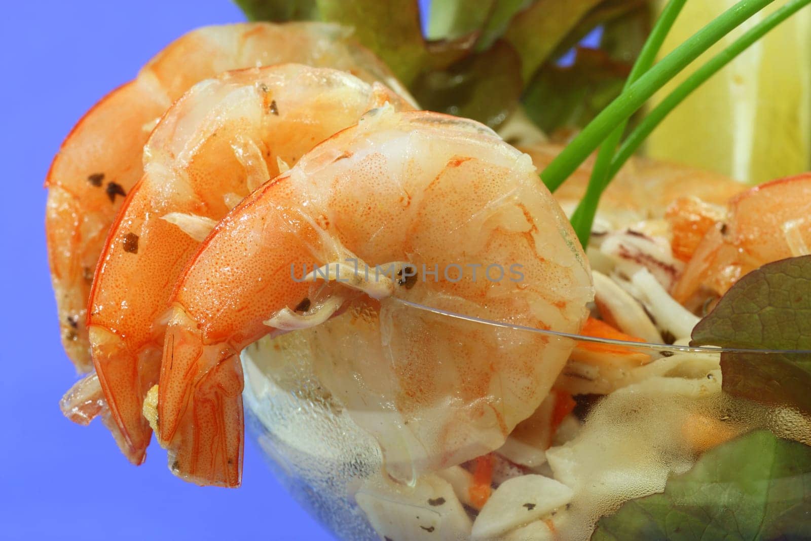 Seafood salad