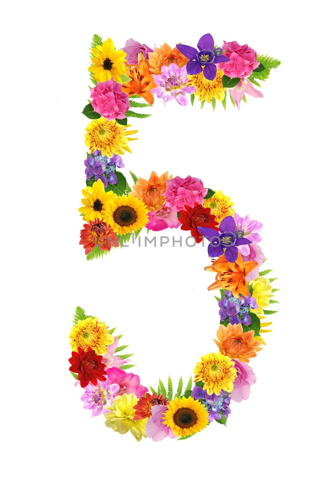 5